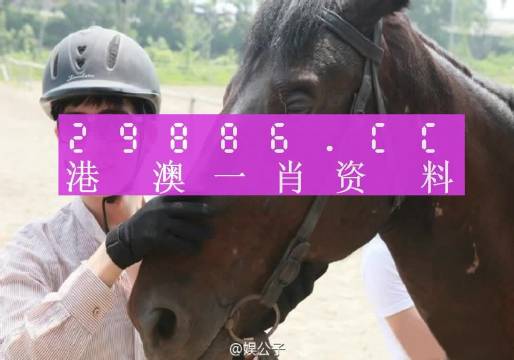 澳门一肖一码一必中一肖同舟前进-最佳精选解释落实